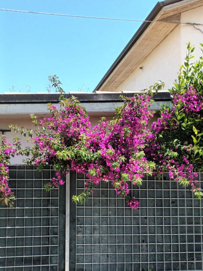 Bouganville A Apartament B&B Civitanova Marche Exteriör bild
